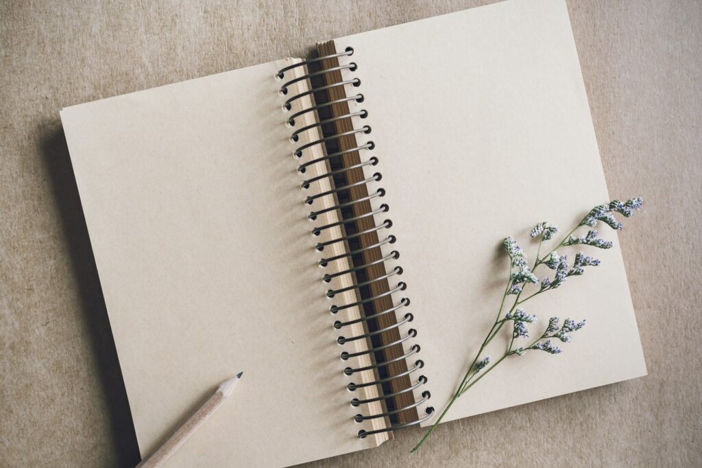 Dry flower with blank notebook on color background